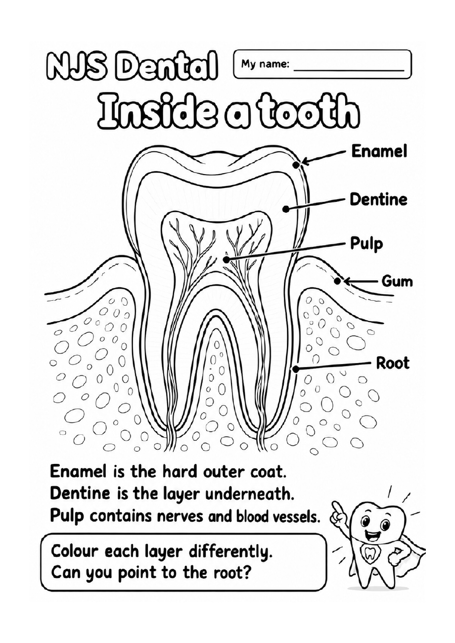 Full-page preview of Inside a tooth